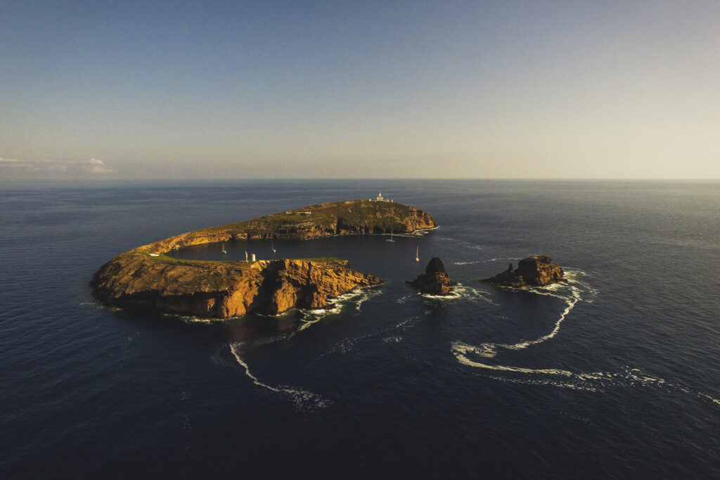 Visitar Islas Columbretes En Velero Fuerza6